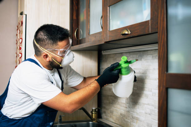 Best Best Pest Control Companies  in Central Gardens, TX
