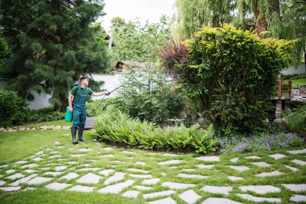 Best Mosquito Control Services  in Central Gardens, TX
