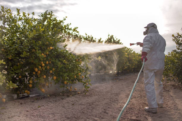  Central Gardens, TX Pest Control Pros