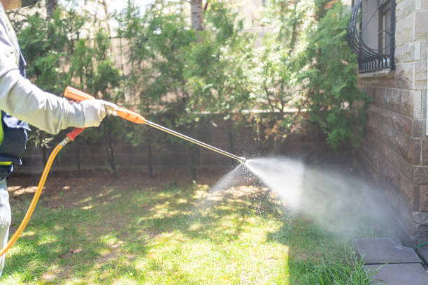 Flea Control Services in Central Gardens, TX