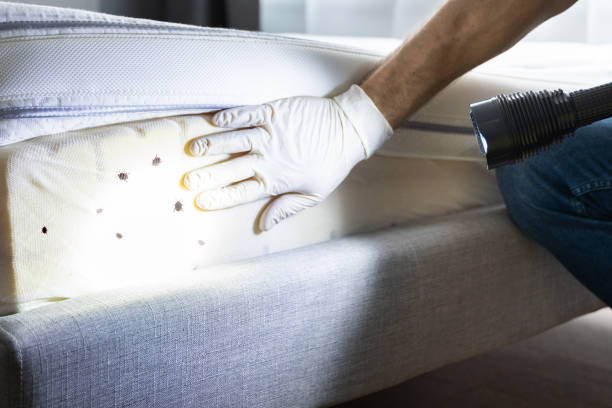 Best Cockroach Control Services  in Central Gardens, TX