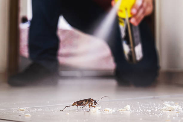 Best Affordable Pest Control Services  in Central Gardens, TX