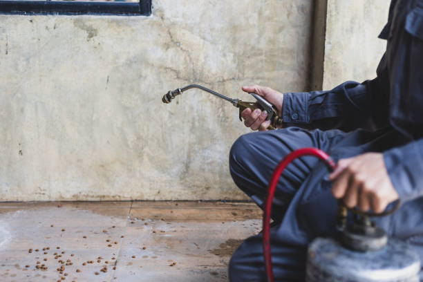 Pest Control Cost in Central Gardens, TX